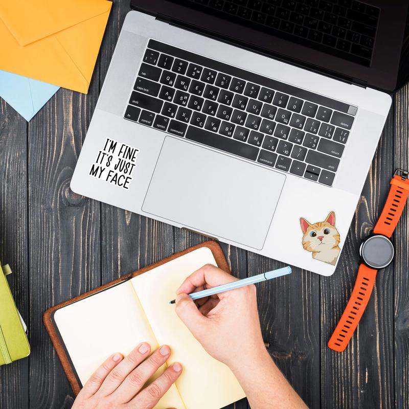 130/200 PCS Funny Saying Sticker Pack - Snarky, Sarcastic Bold Humor Vinyl Waterproof Meme stickers for laptop, computer, water bottle, ipad, phones bumper