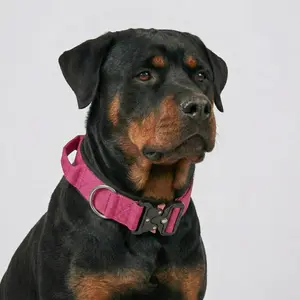 Heavy Duty Tactical Dog Collar with Control Handle, Stylish Pink Fashion No Pull Training Collar for Medium Large Dogs