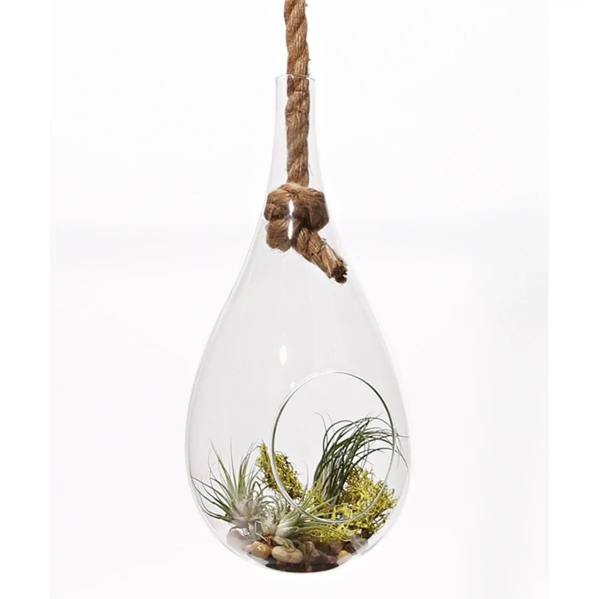 212 MAIN 13 in. Hand-Made Rope Hanging Glass Terrarium Set, Decorative Plant Holder, Interior Decoration Accessories for Home & Garden Hanging Decor