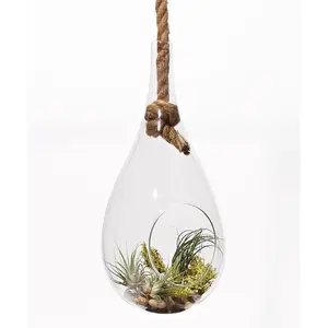 Athenas Garden  13 in. Rope Hanging Glass Terrarium Set
