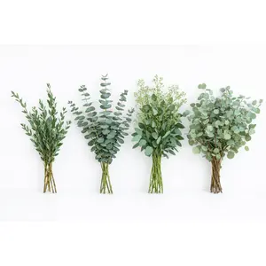 DIY Wedding Greenery Kit – Eucalyptus Collection