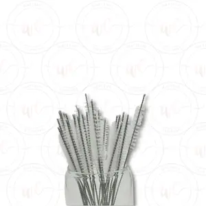 Straw Brush