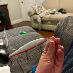 Bleeding shad jerkbait