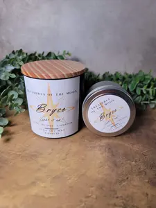 Bookish Candles Bryce from Crescent City Scented Soy Wax Candle with Tiger's Eye & Red Jasper Crystals Hand Poured 4oz & 8oz Sizes Decor Ornaments