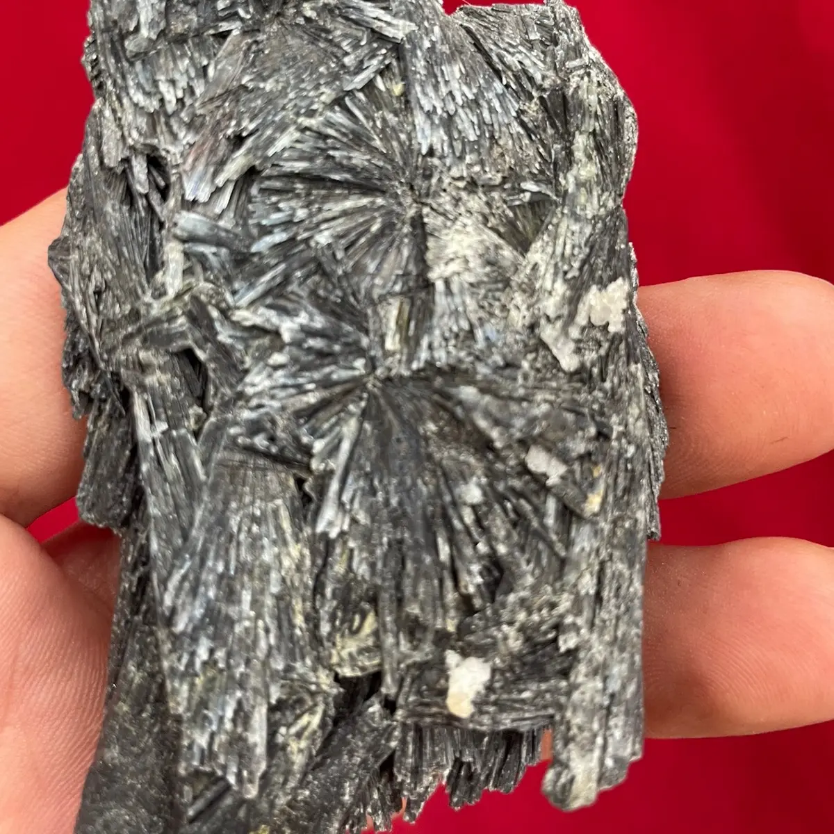 Black Kyanite Crystal Black Kyanite Crystal