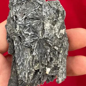 Black Kyanite Crystal Black Kyanite Crystal