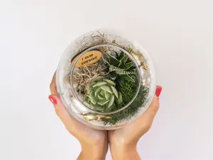 Birthday Succulent Terrarium Kit, DIY Best Friend Plant Gift Box, Unique Plant Lover 21st Birthday Gift for Him, Coworker Office Desk Gift