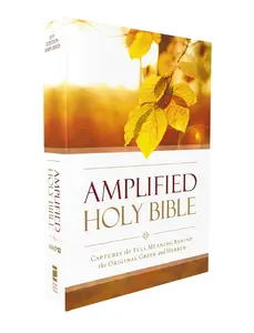 USED-Amplified Outreach Bible, Paperback: Capture the Full Meaning Behind the Original Greek and Hebrew by Zondervan (Paperback)
