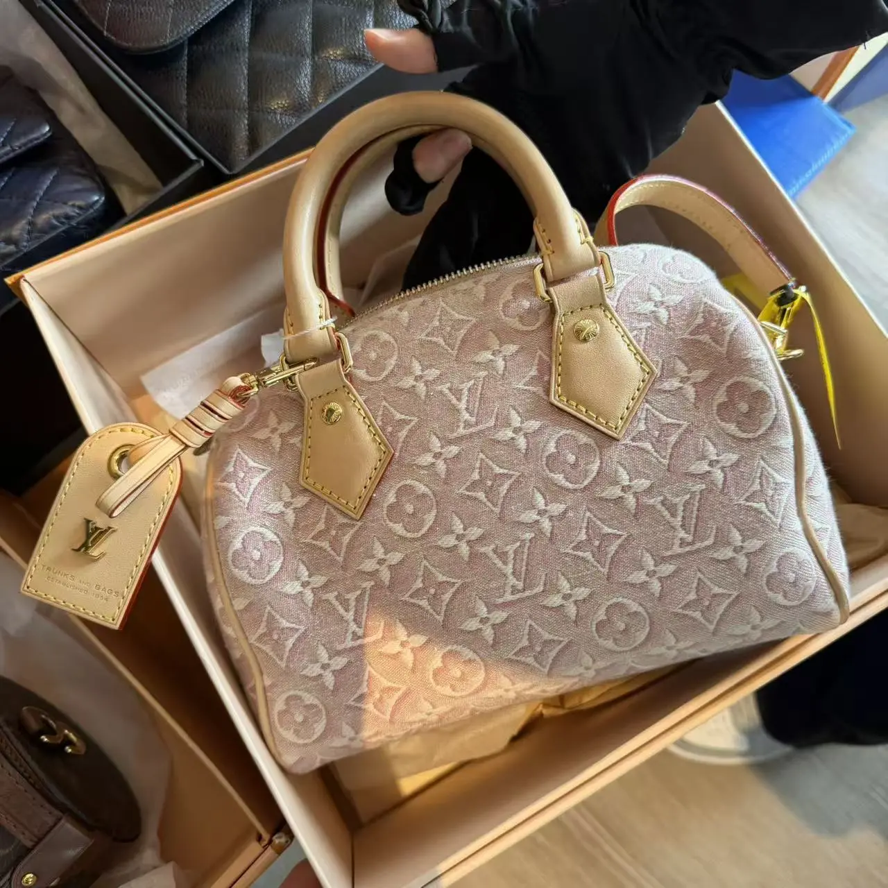Pre-owned Louis Vuitton BZ Nano Speedy Pink Denim Jacquard Crossbody Bag 08192050
