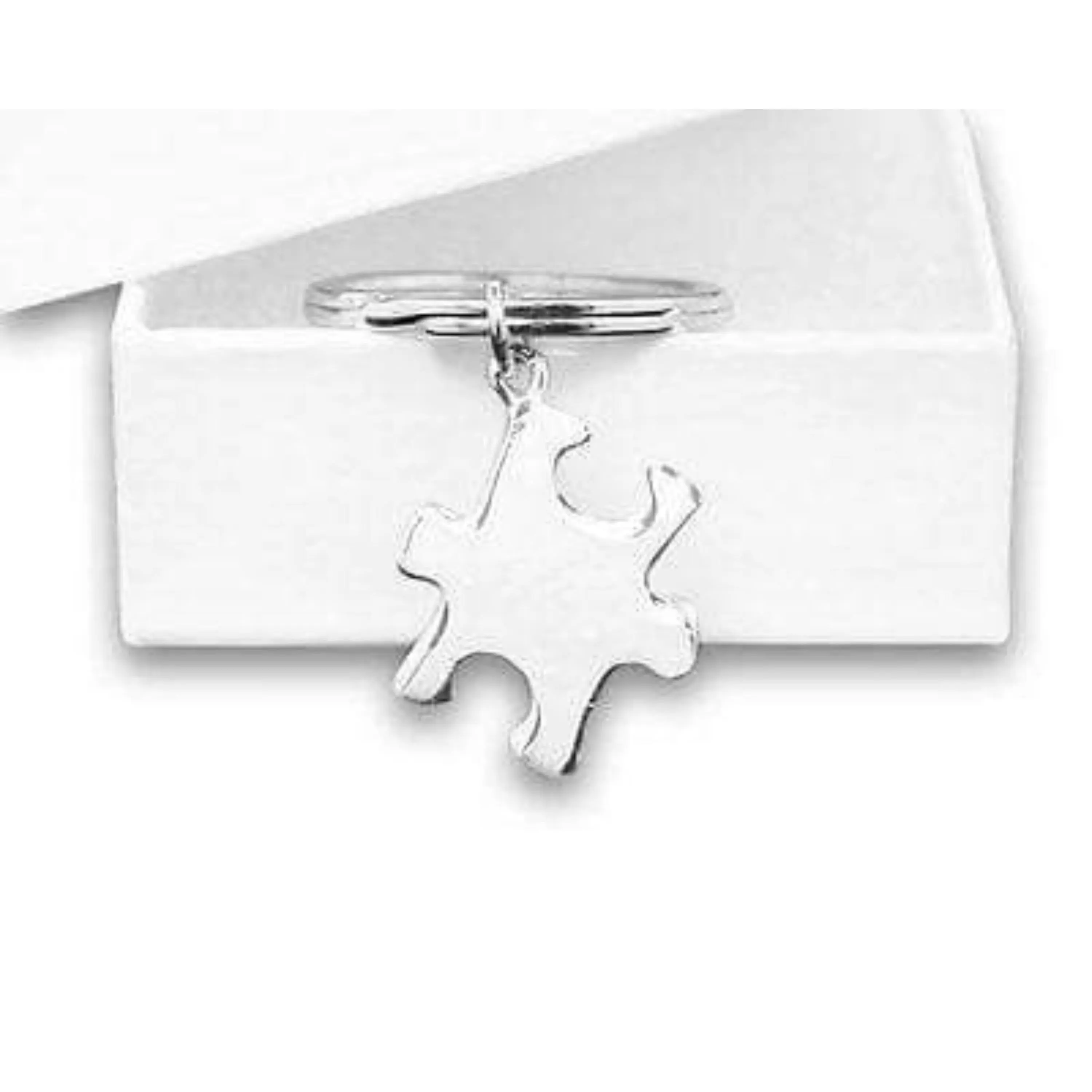 Autism Puzzle Piece Key Chain