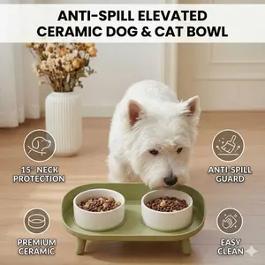 Elevated Anti-Spill Pet Bowl Stand for Cats & Dogs – Raised Dual Bowl with Neck Protection, Mess-Free Feeding & Easy Clean