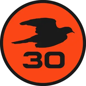 Dove Thirty shop logo