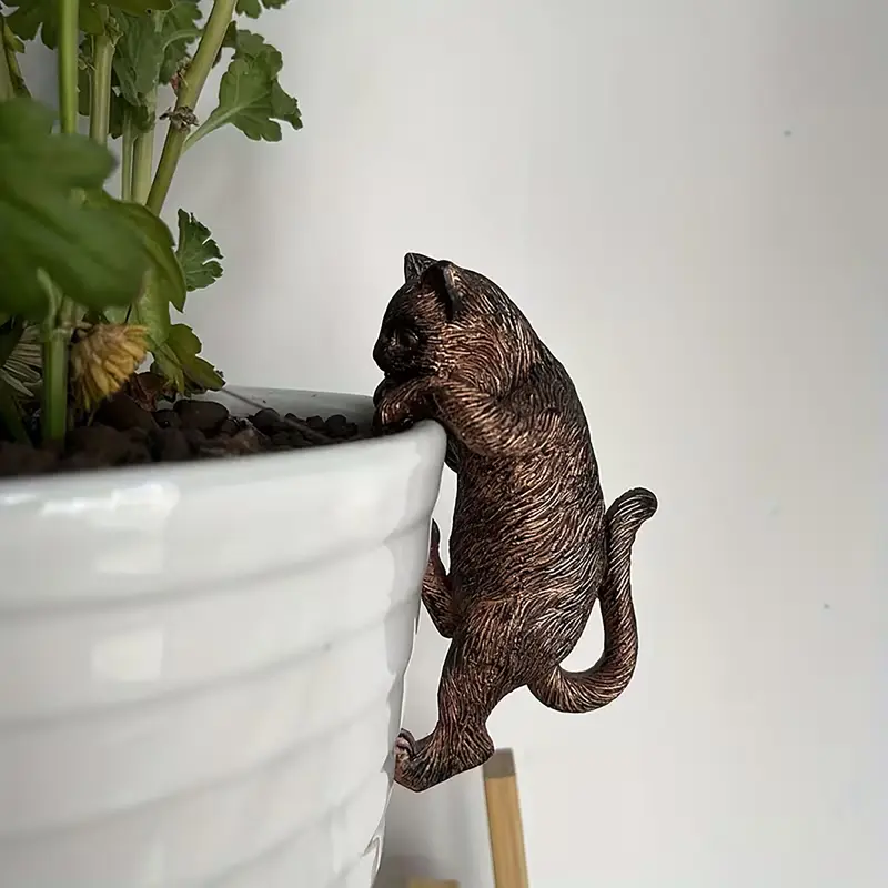 hanging plants safe for cats - TikTok Shop