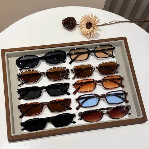 10 Pairs Fashion Square Frame Cat Eye Fashionable Sunglasses Set, Versatile Casual Glasses for Street Photography, Travel, and Fashion Accessories