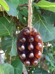 ButteredBody | Esthetician Made Skincare Tools| Turmeric & Lemon Skincare Tools S.o.a.p | Natural Kojic Exfoliating Acid Skincare Tools