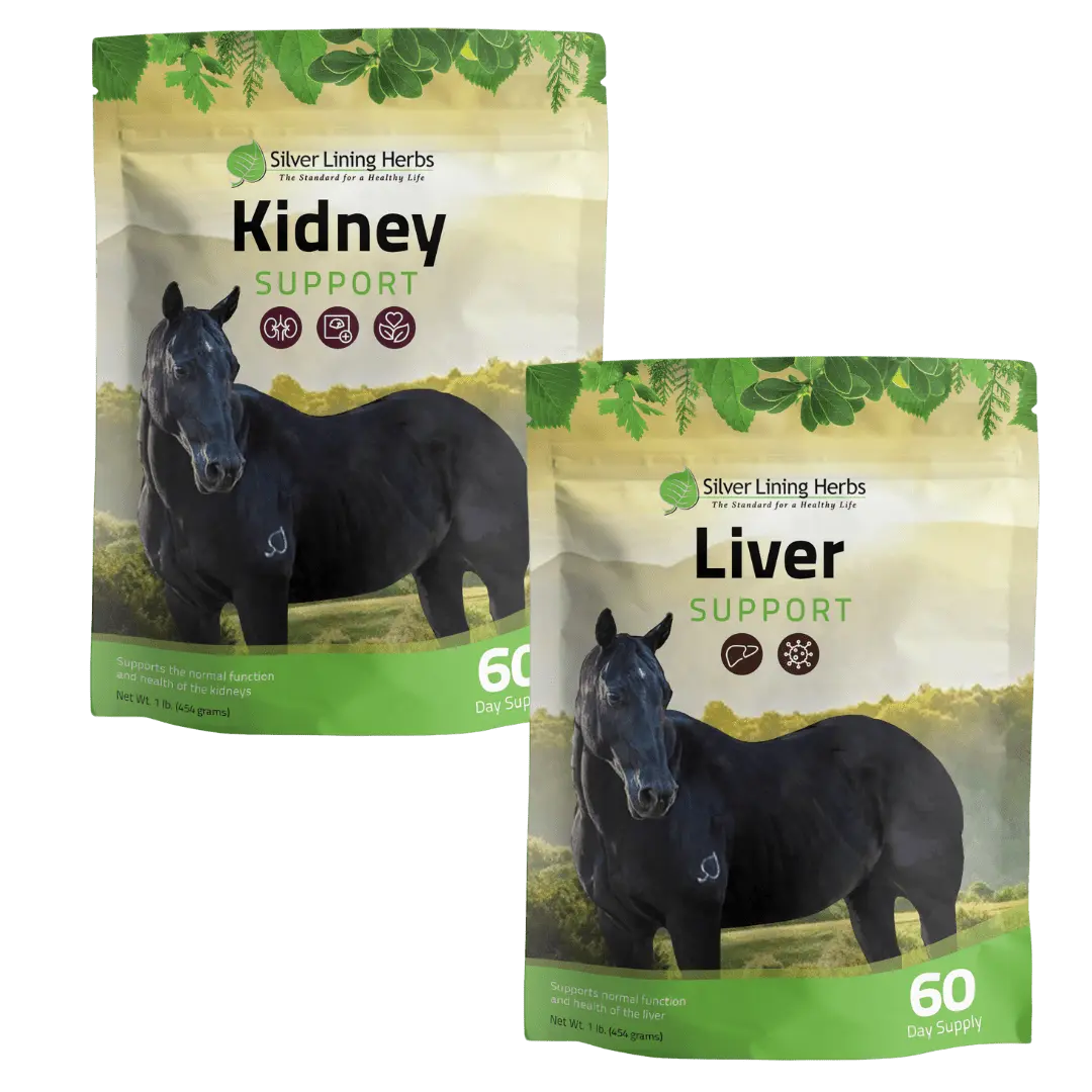Detox Bundle for Horses