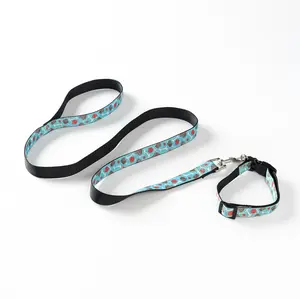 Petpy 2PC Blue print  Dog Leash&Collar Set X-SMALL(4ft)