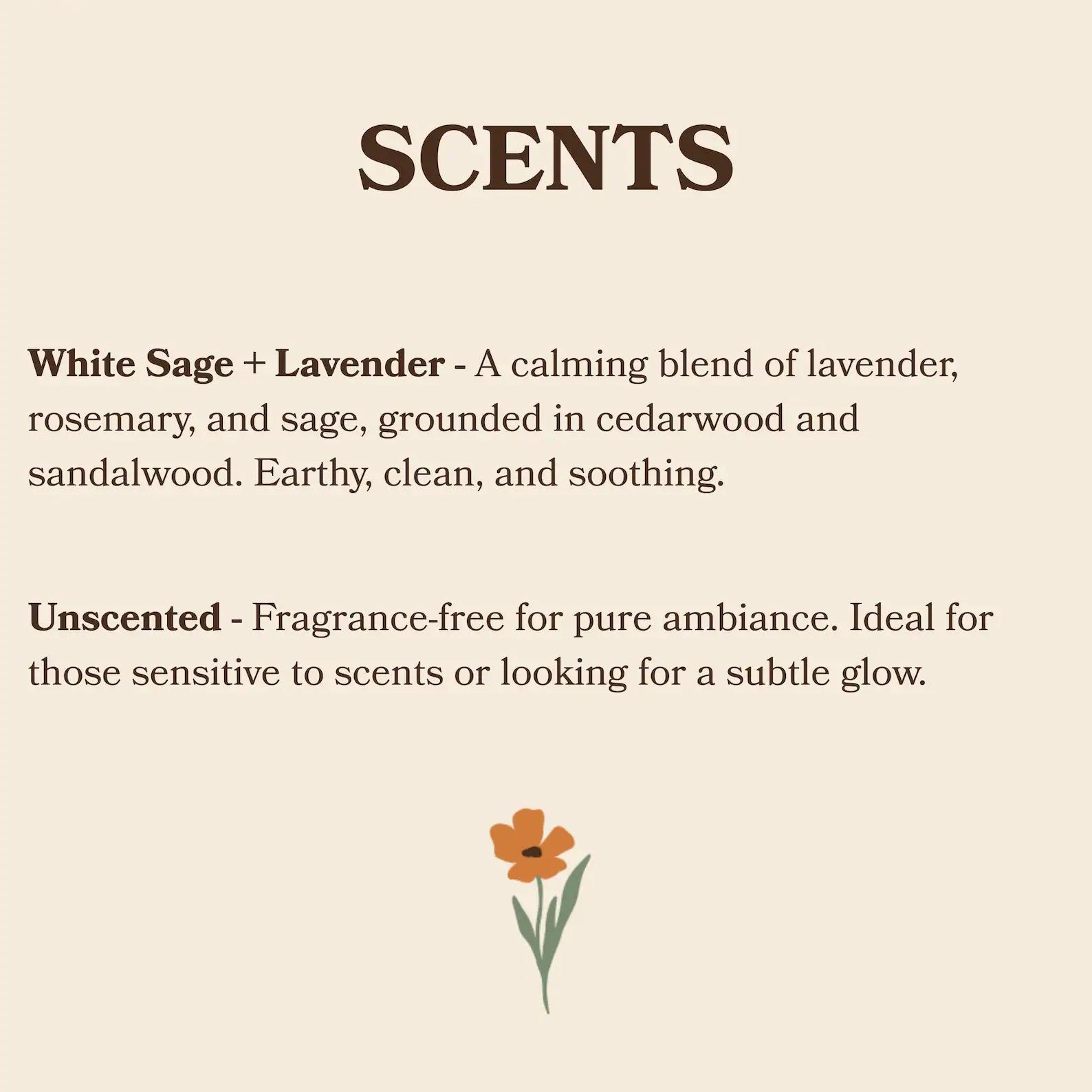 Masters Degree Gift, Graduation Candle, Graduation Gift Box, Funny Candle, Graduation Gift Basket, Masters Graduation, Niece Graduation Masters Degree Gift, Graduation Candle, Graduation Gift Box, Funny Candle, Graduation Gift Basket, Masters Graduation, Niece Graduation