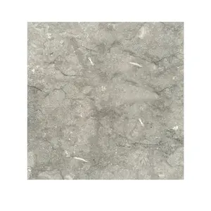 Seagrass  18X18 Limestone