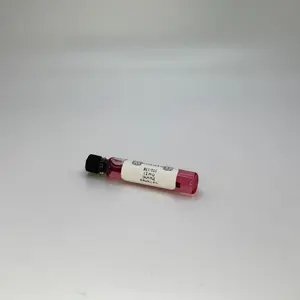 Besitos Ritual Oil 2ML SAMPLE by Alissia Said So for at home ritual scented oil