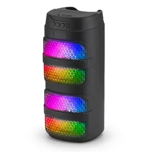 Dual 4" Portable Wireless Party Speaker, Type-C Rechargeable Bluetooth Speaker with Built-In RGB LED Lights, TWS-Ready Compact Sound Box with FM Radio, USB & TF Inputs