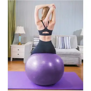 Roleparty Exercise Ball - Yoga Ball in Multiple Sizes for Workout, Stability - Anti-Burst Swiss Balance Ball w/Quick Pump