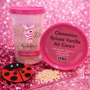 Cinnamon Spiced Vanilla Air Care +
