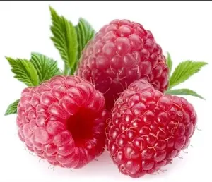 100 GIANT Sweet Tulameen Raspberry Seeds - Authentic Flavor for Baking Cooking & Versatile Decorative Use in Any Setting
