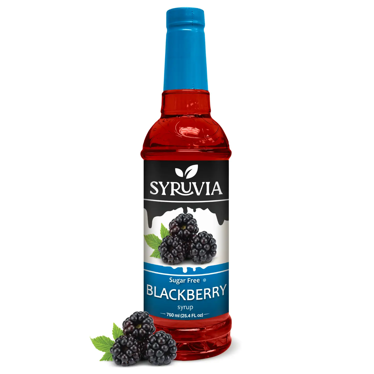 Syruvia Sugar-Free Blackberry Syrup, 25.4 oz. Bold flavor, Kosher, gluten-free. Ideal for drinks, desserts & more. Sweet & delicious