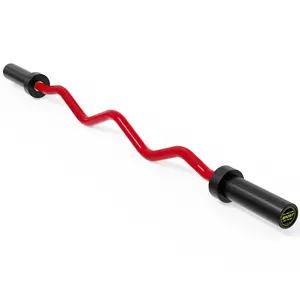 47 Inch Olympic EZ Curl Bar, Steel Curved Barbell with 2-Inch Sleeves, 700 LBS Weight Capacity, Diamond Knurling Grip for Bicep & Tricep Strength Training, Home Gym Equipment