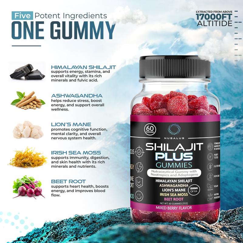 Nusalus Shilajit Plus Gummies 5-IN-1 Formula Superfood for Energy Mood Focus 1000MG Shilajit Ashwagandha Lion's Mane Sea Moss Beet Root Mixed Berry Flavor Made in San Diego USA