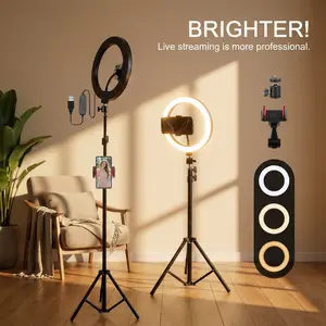 12" LED Ring Light with Tall 71" Telescopic Tripod, 3 Adjustable Color Temperatures & 10 Level Brightness Dimmable Selife Light for Professional Video Recording Content Creation Vlogging TikTok Live Game Streaming, YouTube#Easter Day