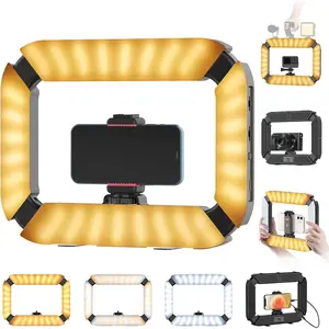 Smartphone Video Rig  U200 Handheld LED Ring Light Selfie Light Phone Video Stabilizer for Camera, Smartphone, Action Camera, YouTube, Setup, Filmmaking, Makeup, Vlogging