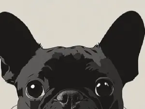 Peeking Bull Dog Pomeranian Car Window Decal - Black Vinyl Silhouette Sticker for Laptops and Vehicles