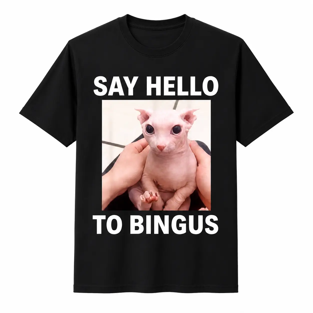 Premium Soft Cotton Unisex Say Hello To Bingus Sphynx Cat Crew Neck Graphic Print T-Shirt Summer Wins Birthday Gift Casual Summer Daily Tee summerwins 4thOfJuly IndependenceDay Gift Sports & Outdoors