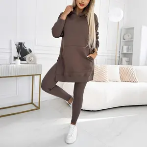 Women Hoodies Dress Hooded Sweatshirts Dress Casual Long Sleeve Tunic Dress Oversized Sweatshirts with Pocket