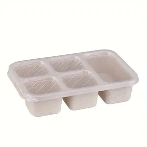 Straw Fiber Bento Box, Multi-Color 5 Compartment Transparent Lid Lunch Container, Leakproof Microwave Safe, Ideal for Office Workers & Students