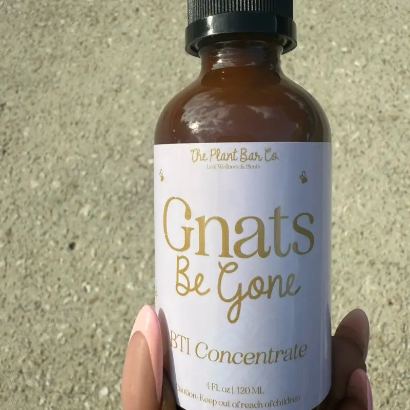 Gnats be Gone