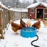 【Crazy Clearance】Waterproof Heated Water Bowl for Chickens, 108oz/0.85 gal Large Capacity, 30W Heater, Farm Animal Feeding Tool for Geese, Winter Bird Bath Use, 0.85 Gallon Capacity
