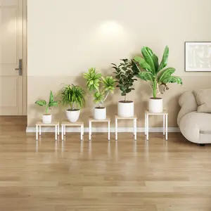 5 Pack Plant Stand Indoor Metal Shelf Corner Display Rack Stackable and DIY Plant Pot Stands for Multiple Flower for Living Room Garden Patio Balcony
