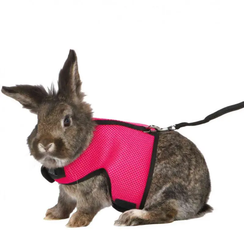 The AeroHop™ Escape-Proof Rabbit Harness