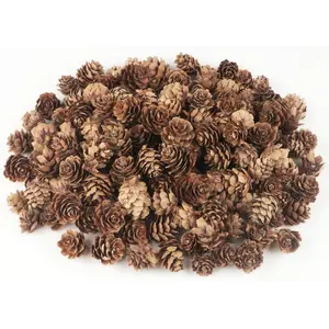 120 PCS Pine Cones Decorations, Natural Pine Cones Bulk - Mini Pine Cones Christmas Pine Cones for Table Christmas Tree Crafts Gifts Thanksgiving Fall and Xmas Home Decor