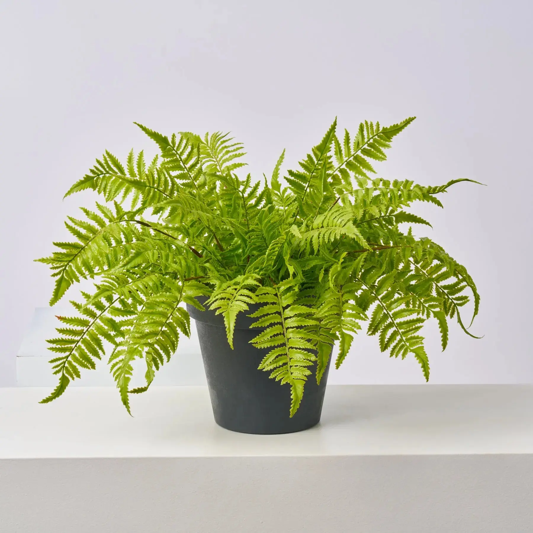 Lifelike Boston Fern Outdoor Faux Urn Filler Spring Everyday Arrangement