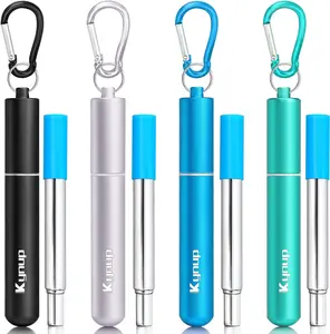 4Packs Reusable Straws, Metal Straw with Silicon, Travel Drinking Straws with Case, Keychain, Cleaning Brushes, Silicon Pcs Perfect for Travel, Gifts (20 PCS)