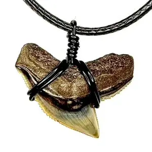 Tiger Shark Fossil Necklace - Elegant Design with Unique Shark Shark Charms