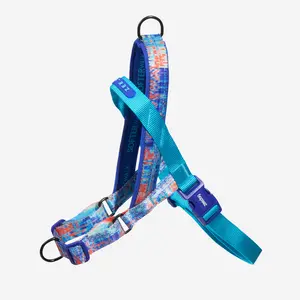 Error #404 | SofterWalk Harness