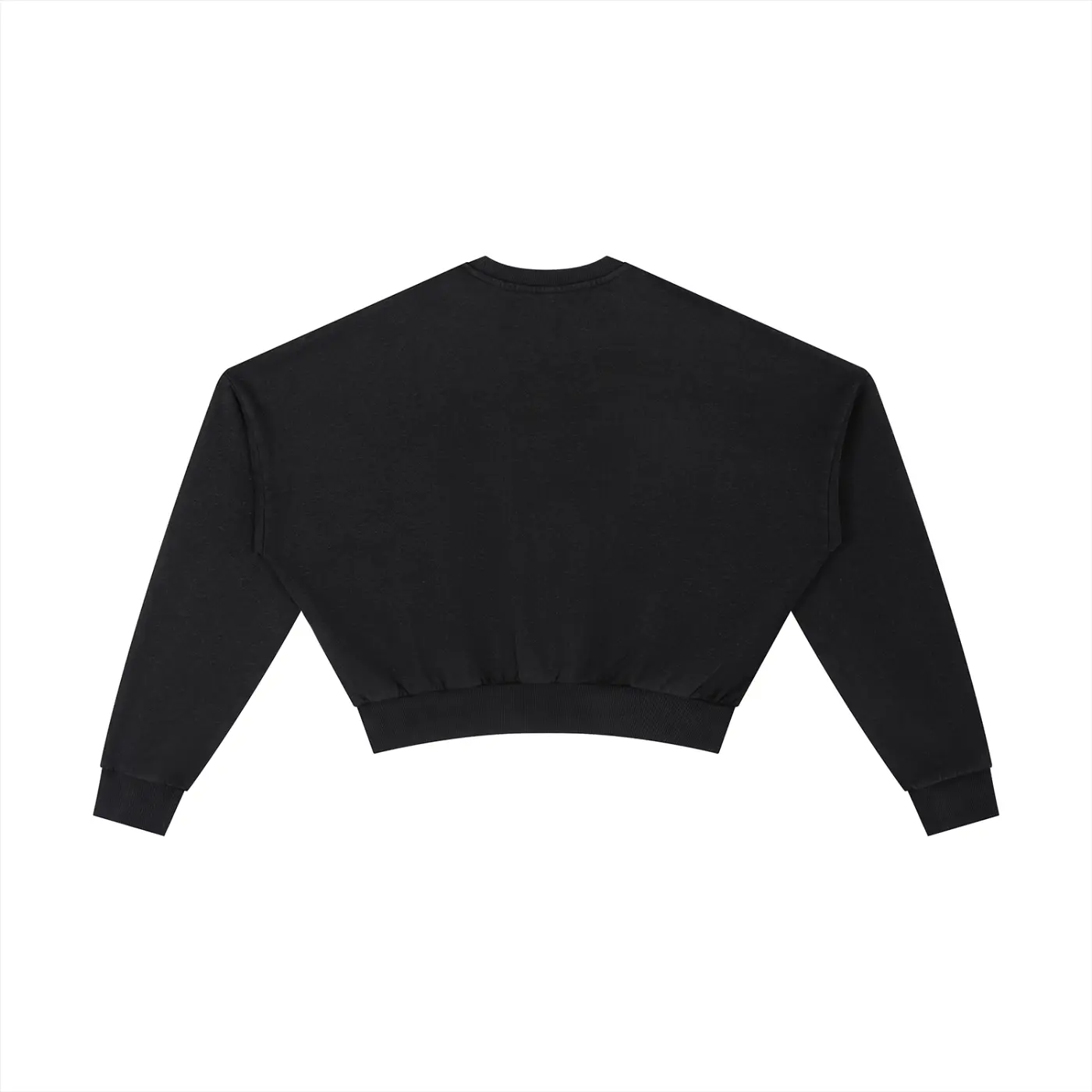 Vintage Washed Cropped Sweatshirt