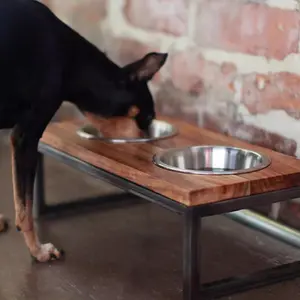 Stainless Steel Cat & Dog Bowls, Durable Metal Design for Easy Cleaning, Ideal for Cats & Dogs, Perfect Gift for Pet Lovers