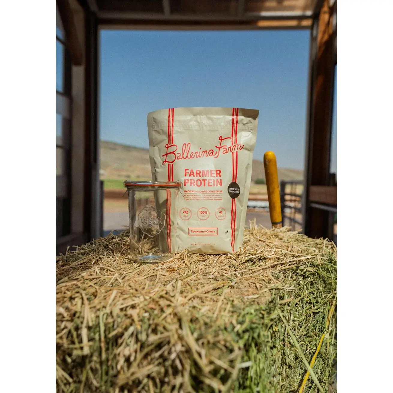 Strawberry Crème + Weck Jar