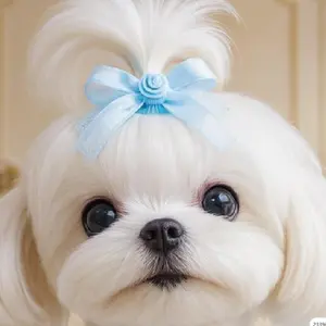 Pet Hair Clip for Cats and Dogs, High-End Bow Clip, Maltese Bb Clip, Secure and Durable, Wholesale Available